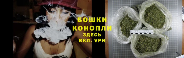 дурь Карпинск