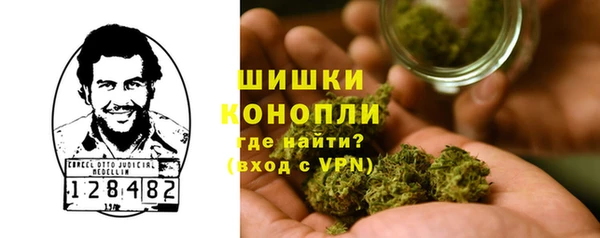 дурь Карпинск