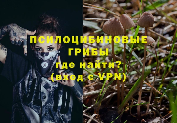 МДМА Каменка