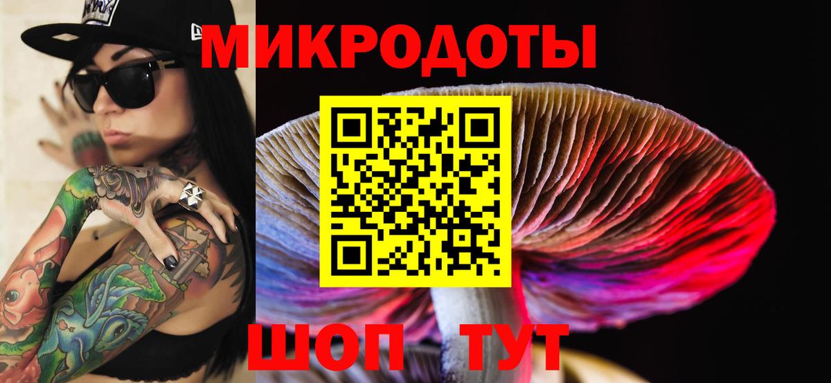 Псилоцибиновые грибы MAGIC MUSHROOMS Заводоуковск