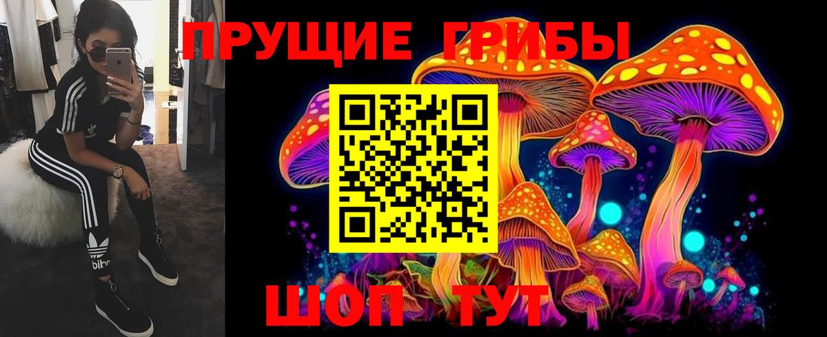 Галлюциногенные грибы мухоморы  Вход с VPN  Заводоуковск 